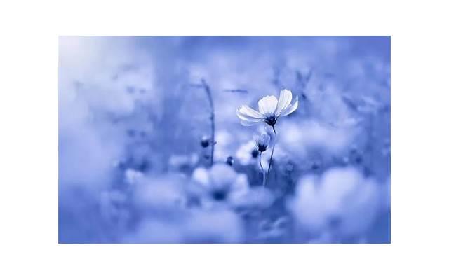 女人什么样的身材最吸引男人? 女人什么样的身材最吸引男人?