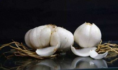 ​“百合之都”兰州