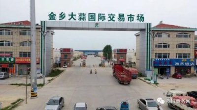 ​金乡大蒜价格最新行情2023(金乡大蒜价格行情今日报价查询)