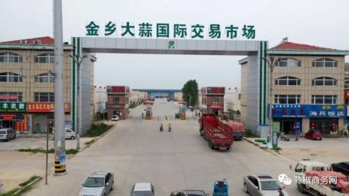 金乡大蒜价格最新行情2023(金乡大蒜价格行情今日报价查询)-第1张图片-