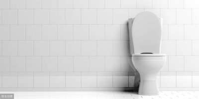 ​文字与文化｜马桶为什么叫“马桶”？背后有个有趣的传说