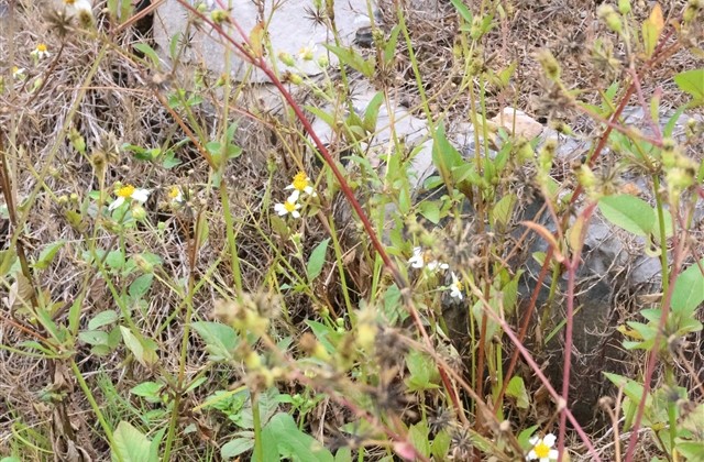 历史上最奇葩的网名(62个)