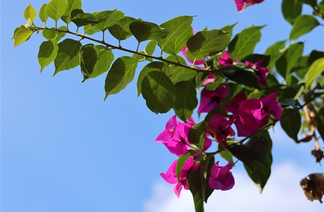 一个字的唯美昵称 一个字的唯美昵称