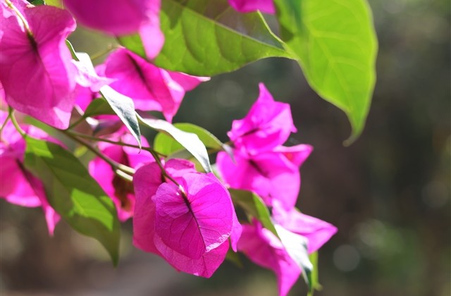 看淡一切无所谓的网名 看淡一切无所谓的网名