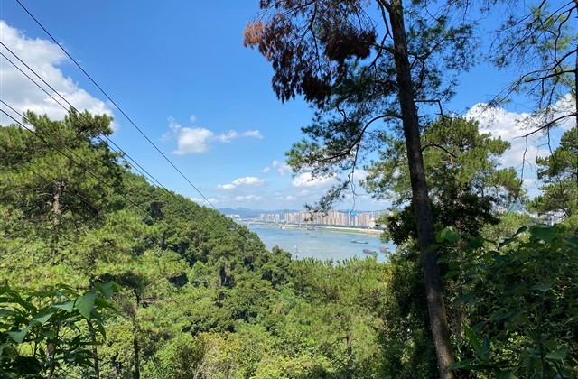 属龙的人网名四字