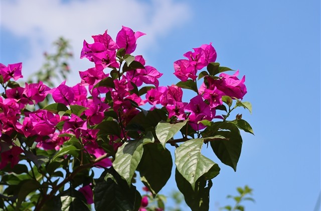 坏小子的qq网名(73个)