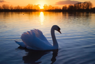 ​曾小贤说的经典台词(精选75句)