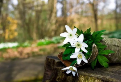 ​画家经典语录(画家电影经典语录)