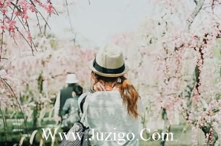 谐音类歇后语82句