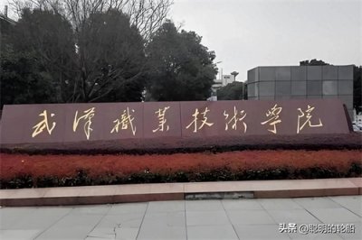 ​武汉高职高专学校概览