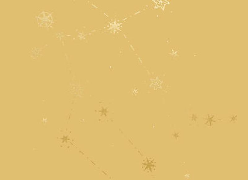 关于赞美玫瑰花的句子 关于赞美玫瑰花的句子