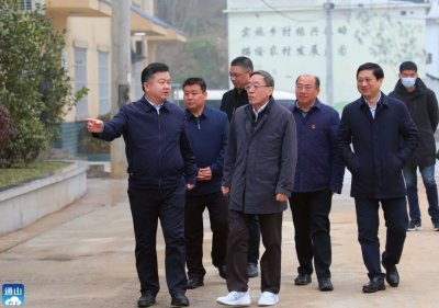 ​侯淅珉赴通山县调研定点帮扶乡村振兴工作