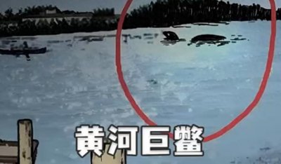 ​黄河神秘的5大事件，首当其冲就属闹得沸沸扬扬的惶河巨鳖事件
