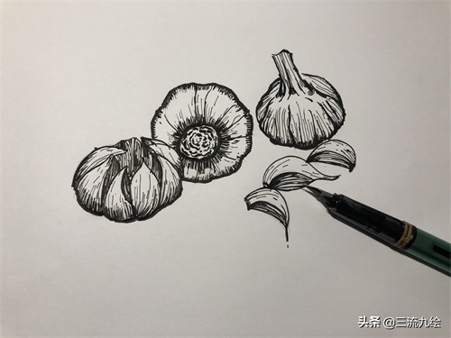 “蒜”你狠：只需三支笔，教你画好一组蒜头简笔画