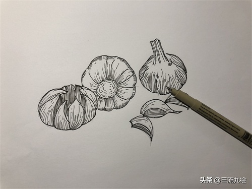“蒜”你狠：只需三支笔，教你画好一组蒜头简笔画