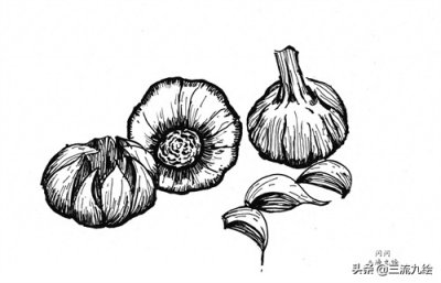 ​“蒜”你狠：只需三支笔，教你画好一组蒜头简笔画