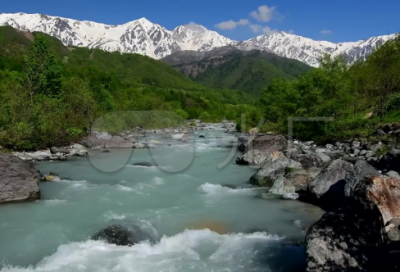 ​关于亲情的唯美句子简短(精选12句)