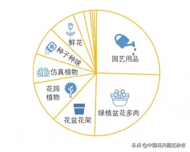 ​传统电商平台：不变的是一直在变 | 《中国花卉园艺》2020年7期专题