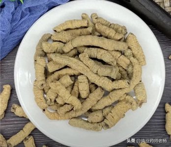 ​每天学习一味中药——巴戟天