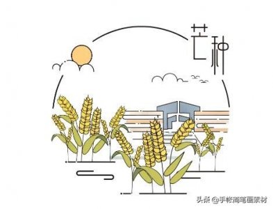 ​时间也要有诗意，二十四节气极简插画