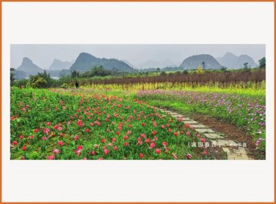 ​手机视界丨广西河池市宜州区·壮乡三月好风光！