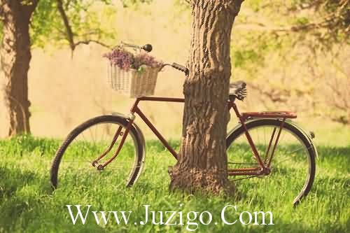 一段回不去的感情句子 2026年回不到从前的伤感句子