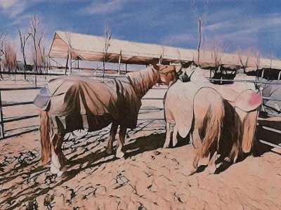 ​马圈的“鲶鱼效应”