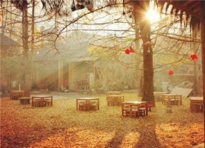 ​清明节缅怀的句子说说[42句]