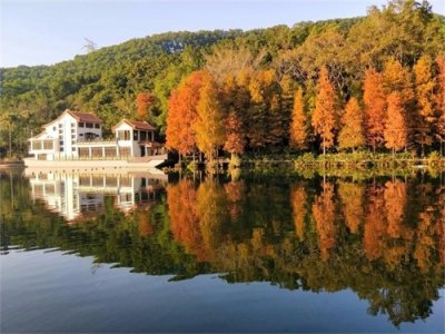 ​收藏起来慢慢玩！罗湖这些地方超级适合打卡，分分钟拍出“大片”