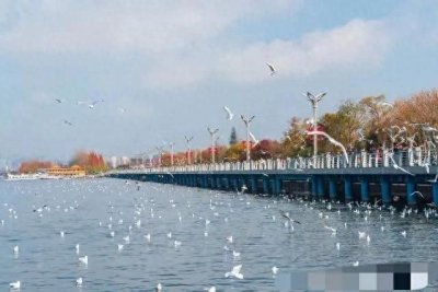 ​昆明必去的16个地方，去过8个以上算合格，去过14个以上不简单！