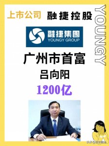 ​吕向阳：王传福背后的男人！