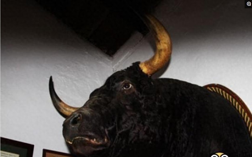 盘点各国的图腾，中国最霸气，日本最奇葩，看到法国的网友笑了