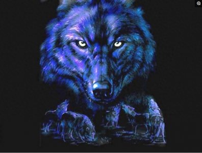 ​盘点各国的图腾，中国最霸气，日本最奇葩，看到法国的网友笑了