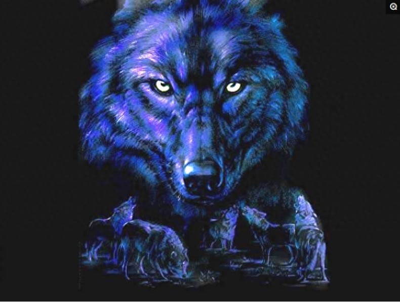 盘点各国的图腾，中国最霸气，日本最奇葩，看到法国的网友笑了