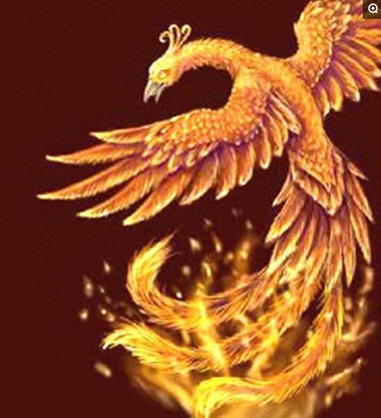 盘点各国的图腾，中国最霸气，日本最奇葩，看到法国的网友笑了