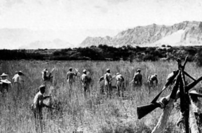 ​1949年，新疆在历经和平解放的洗礼后，犹如一位历经沧桑的老人