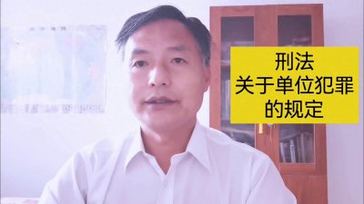 ​单位犯罪的法律解析