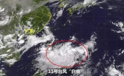 ​降温有望！台风“白鹿”今早已拐弯登陆！最新路径预测曝光……