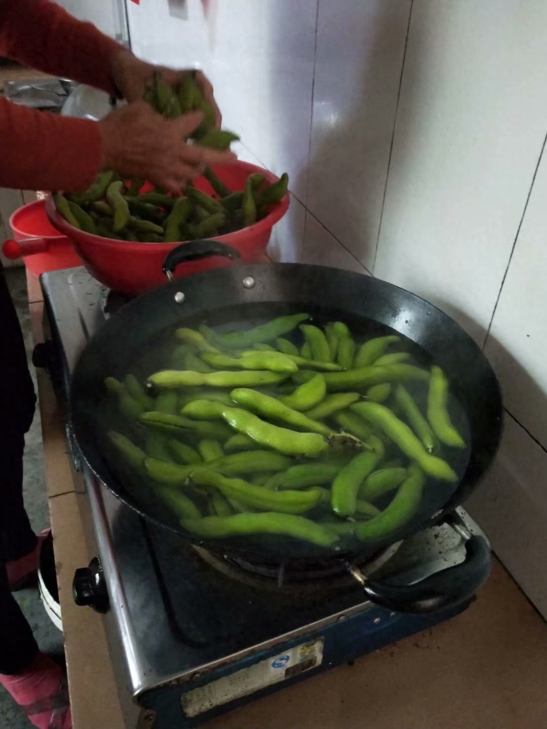 狗爪豆煮熟浸泡去毒过程