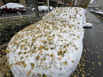 ​中国八三年蛇灾，关于1983年中国蛇灾始末！