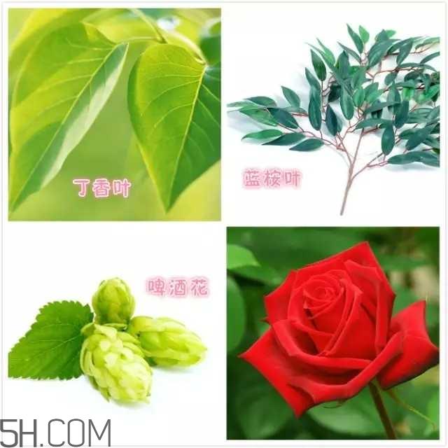 rmk卸妆膏怎么用 rmk卸妆膏使用方法