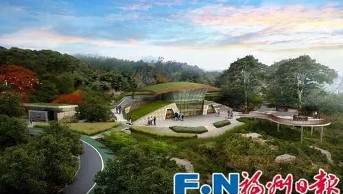 茉莉桂圆茶的功效,喝茉莉茶有什么功效?图6