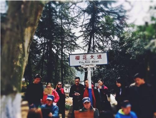 今年武大樱花开放时间(今晚8点武大可以预约赏樱了)(8)