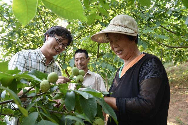 村官是“官”吗?大学生村官有前途吗?待遇怎么样?
