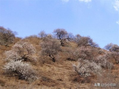 ​吉林省各地市州最高峰海拔高度排名，绝美风景等你来探！