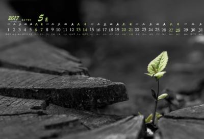 ​8字真爱寄语