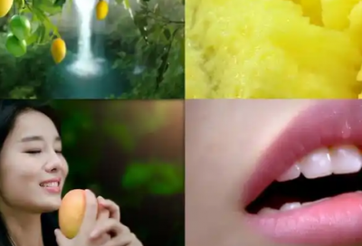 ​企业诚信格言84句